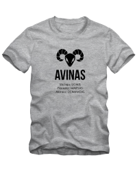 Avinų stichija planeta Akmuo